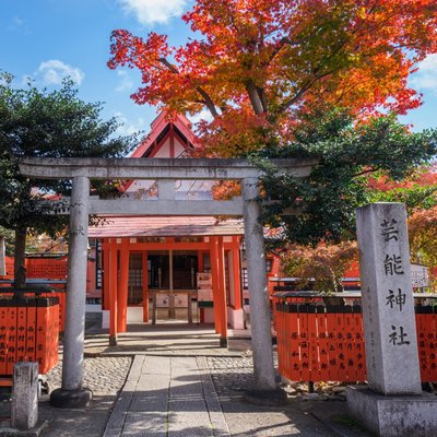 ⛩️ 쿠루마자키 신사